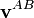 \mathbf{v}^{AB}